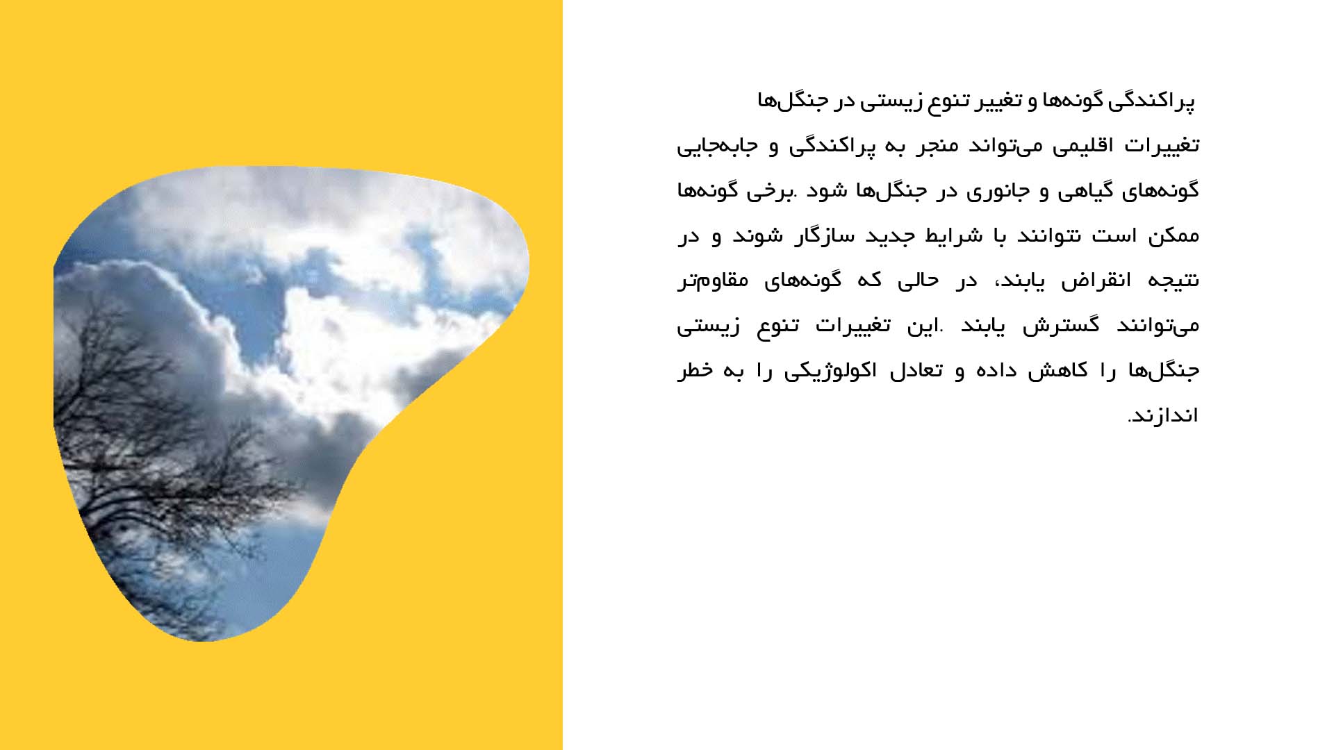 پاورپوینت در مورد تأثیرات تغییرات اقلیمی بر پوشش جنگلی